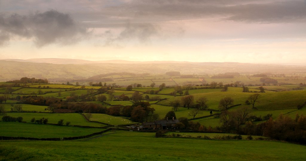 Photo from the movie Tolkien