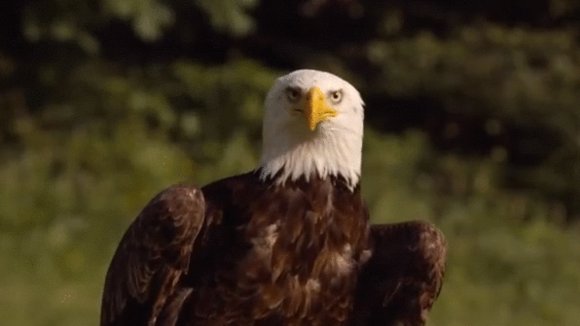 Photo du film Salaud, on t'aime.