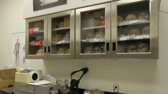 Photo du film Who is Dayani Cristal?