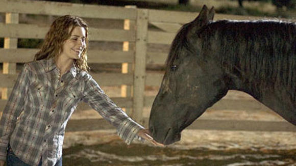 Photo from the movie Flicka