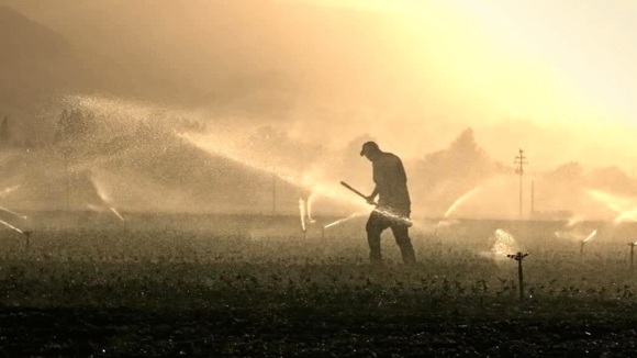 Photo du film Just Eat It: A Food Waste Story [2014]