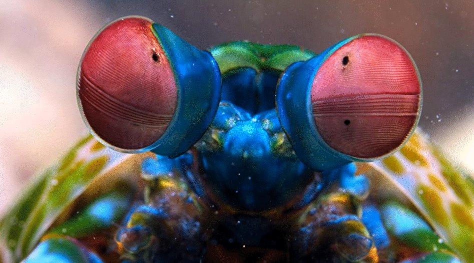 Photo from the movie Tiny World