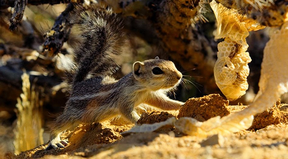 Photo from the movie Tiny World