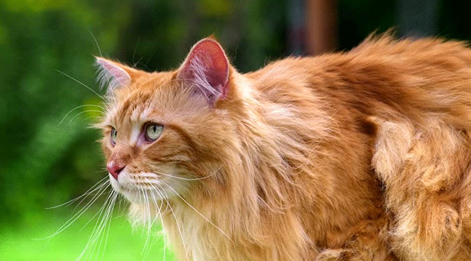 Photo from the movie Tiny World