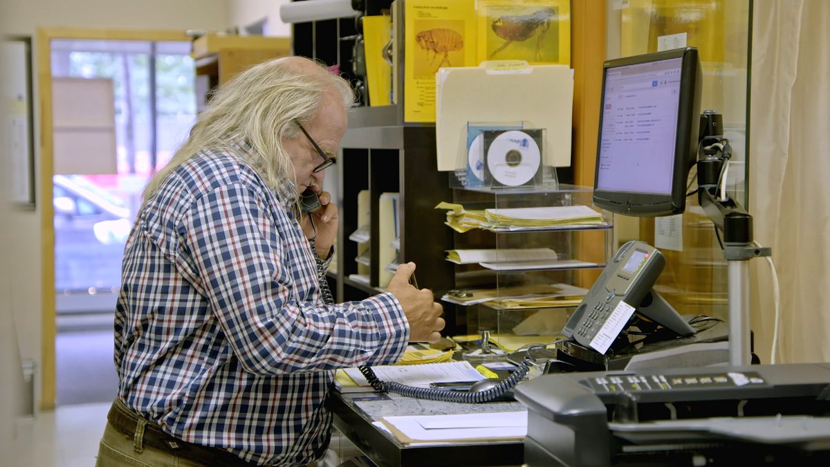 Photo from the movie S.O.S Infestation [2020]