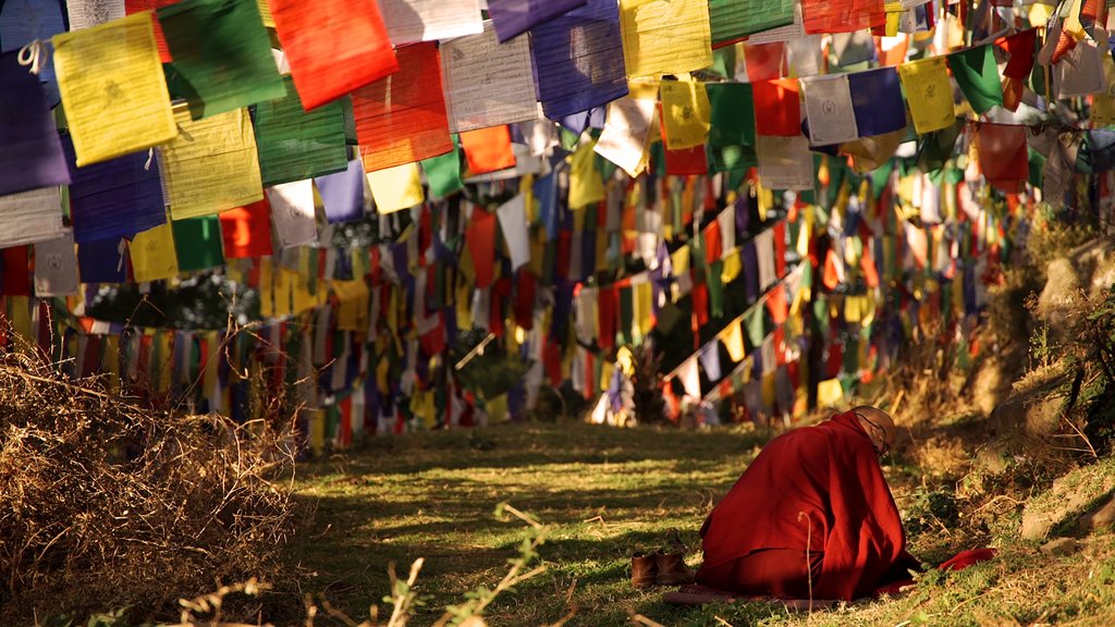 Photo from the movie Black Code [2016]