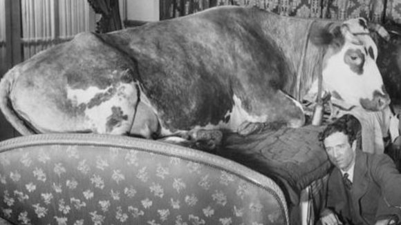 Photo from the movie L'âge d'or