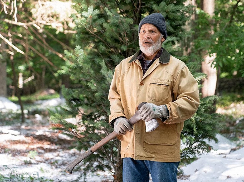 Photo du film The Noel Diary