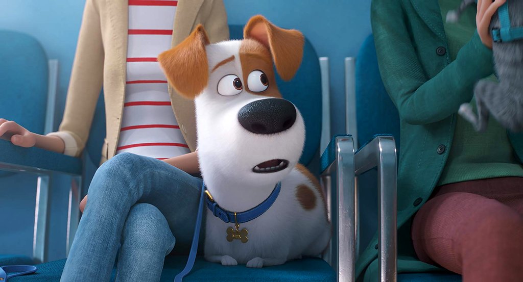 Photo du film The Secret Life of Pets 2