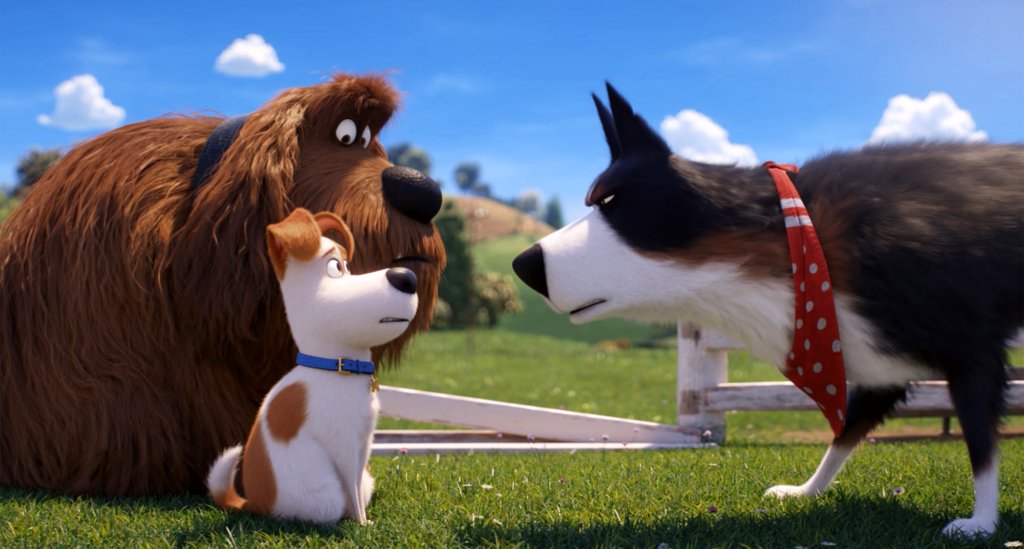 Photo du film The Secret Life of Pets 2