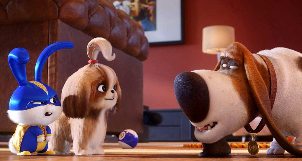 Photo du film The Secret Life of Pets 2