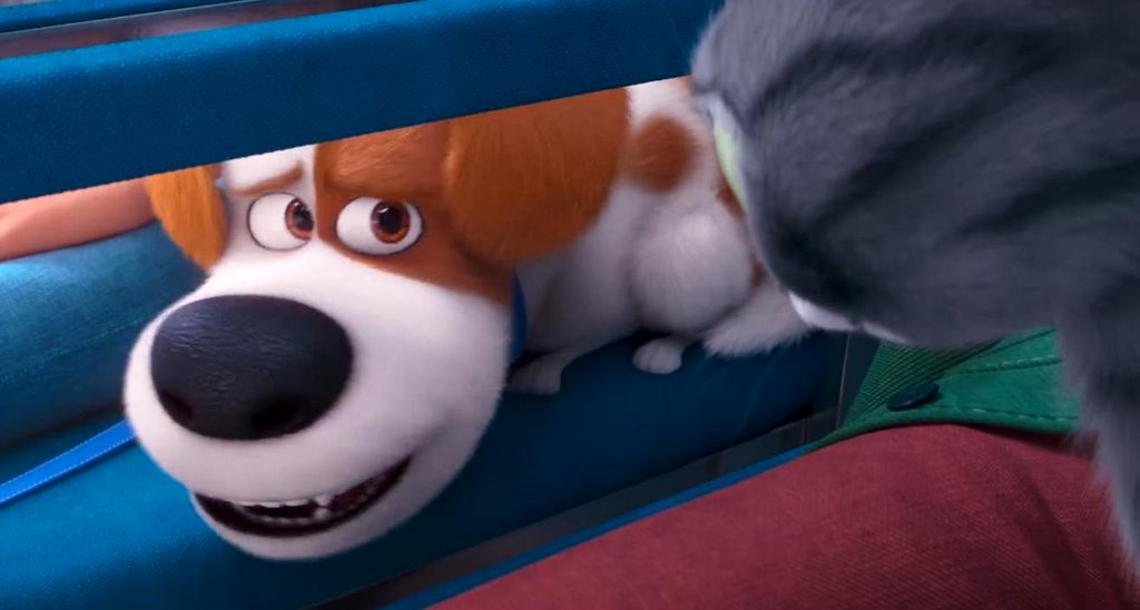 Photo du film The Secret Life of Pets 2