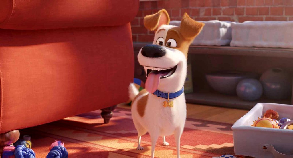 Photo du film The Secret Life of Pets 2