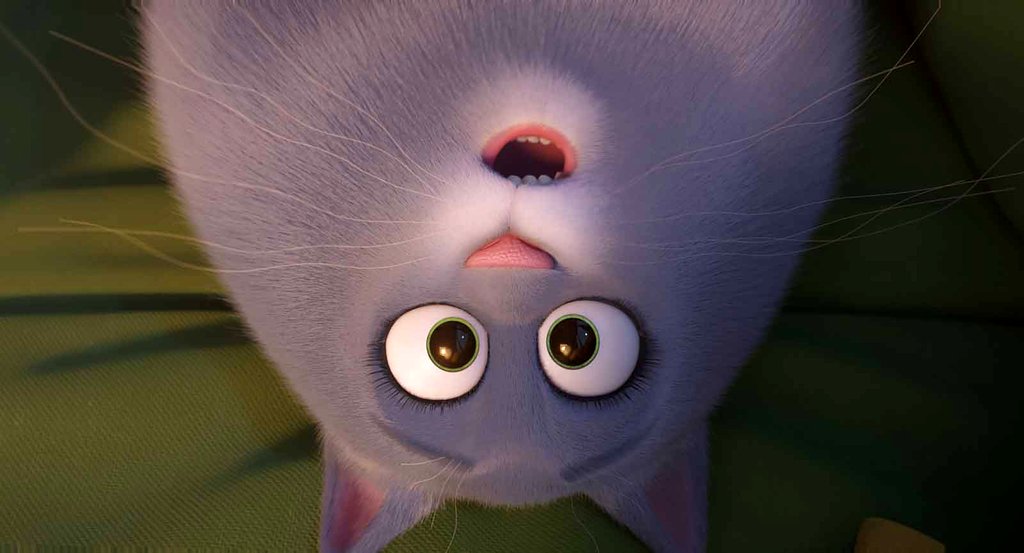 Photo du film The Secret Life of Pets 2