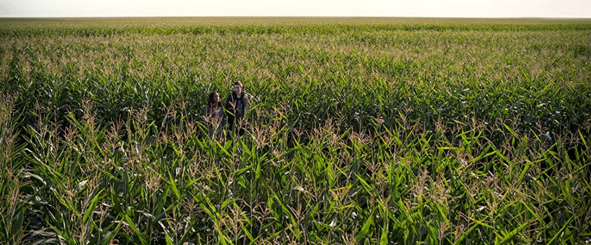 Photo from the movie There's Someone Inside Your House [2021]