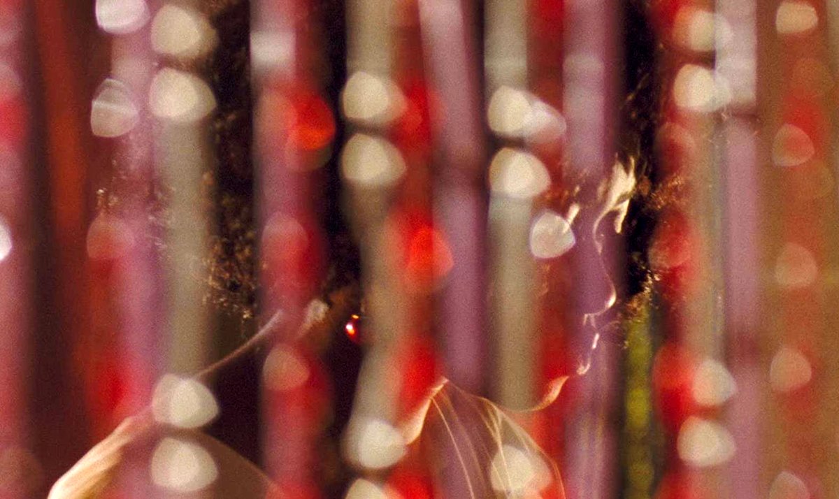 Photo from the movie Eyimofe: This Is My Desire [2020]