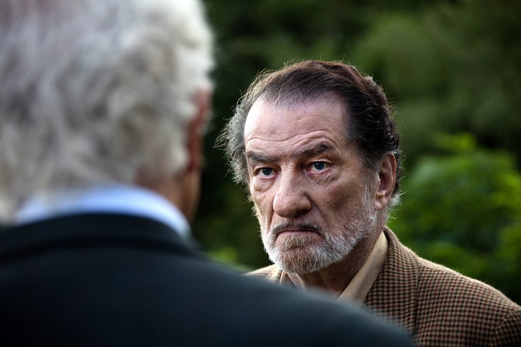 Photo from the movie Tricky Old Dogs