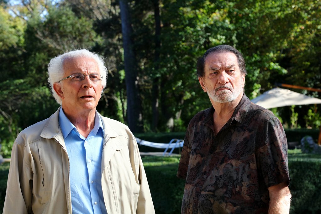 Photo from the movie Tricky Old Dogs