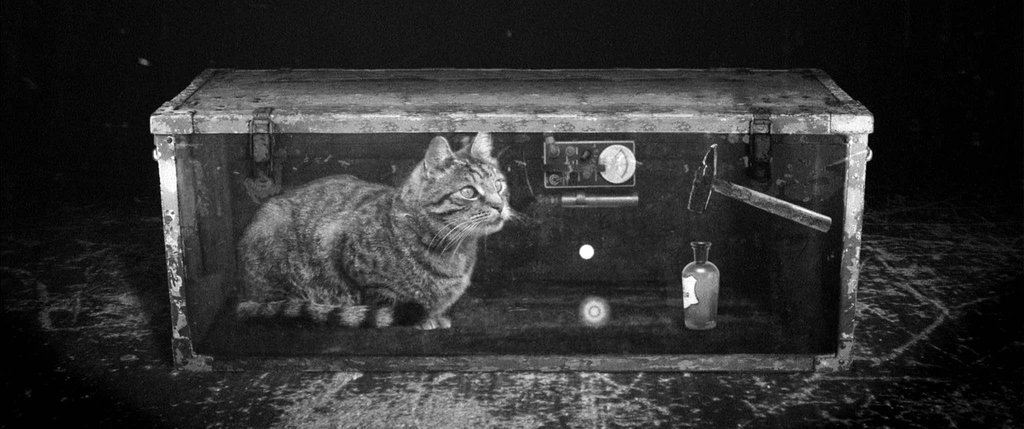 Photo du film Le Cyclotron