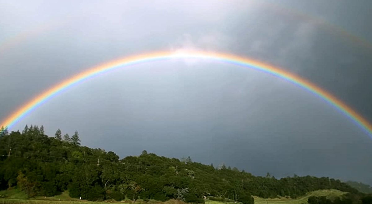 Photo du film A Perfect Vintage [2021]