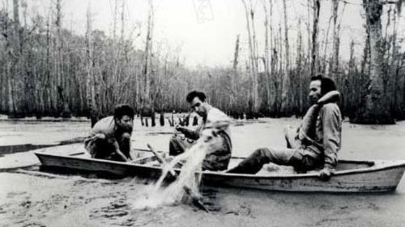 Photo du film Down By Law