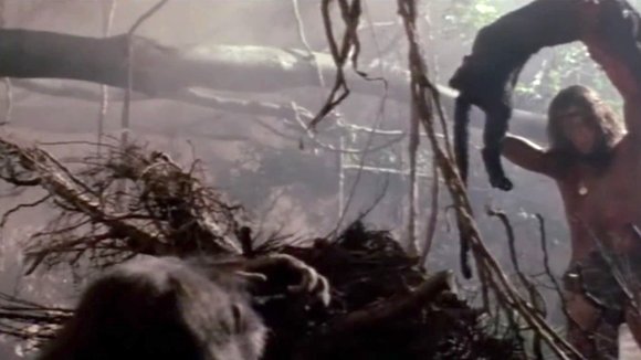 Photo du film Greystoke: The Legend of Tarzan, Lord of the Apes