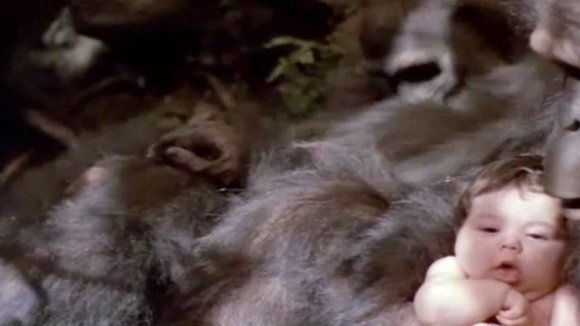 Photo du film Greystoke: The Legend of Tarzan, Lord of the Apes