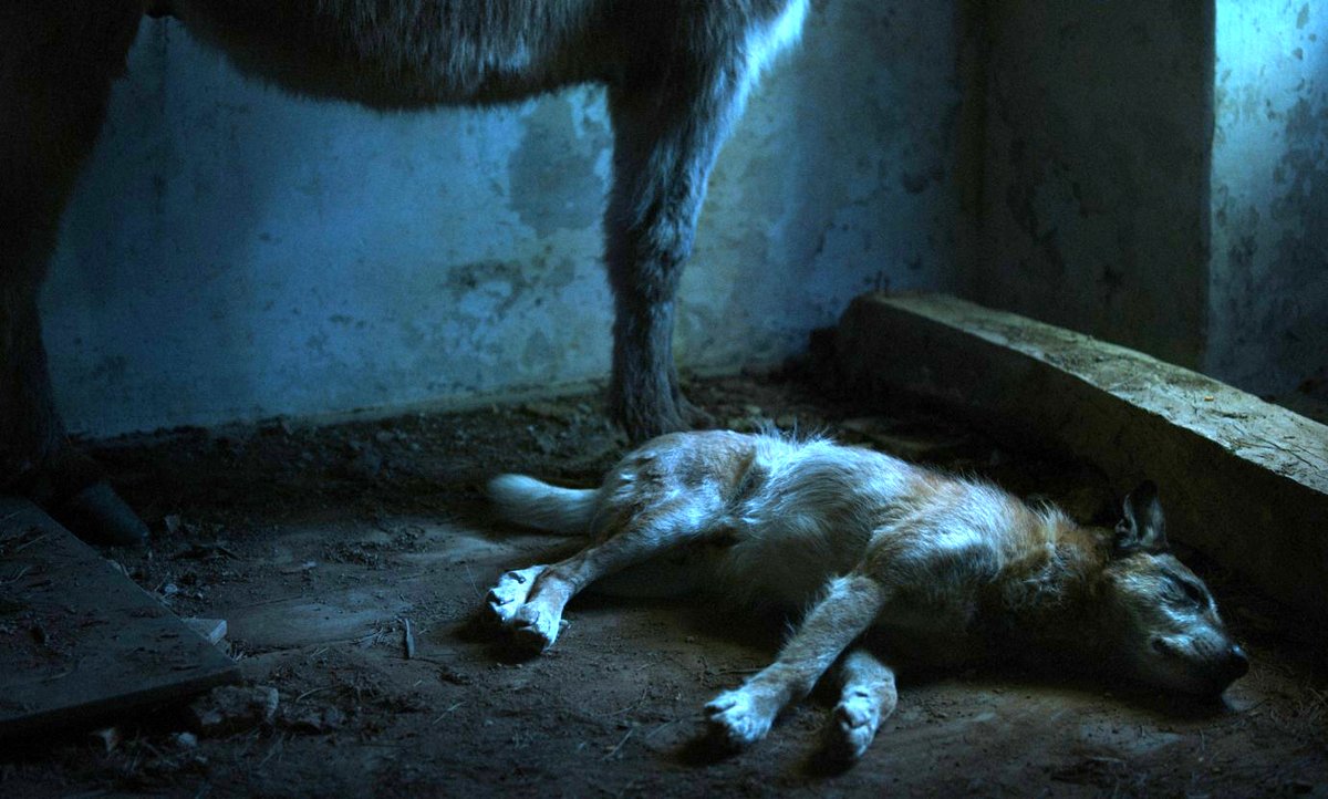 Photo from the movie J'étais chez moi, mais