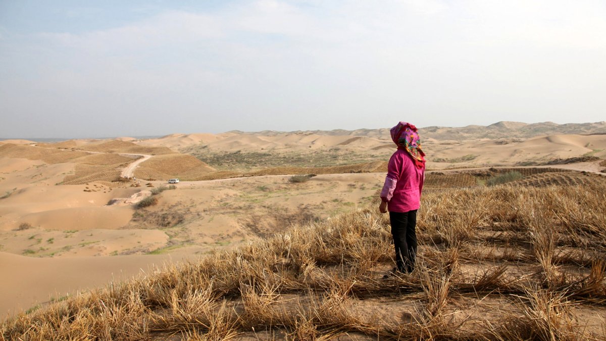 Photo from the movie Illusions of Control [2019]