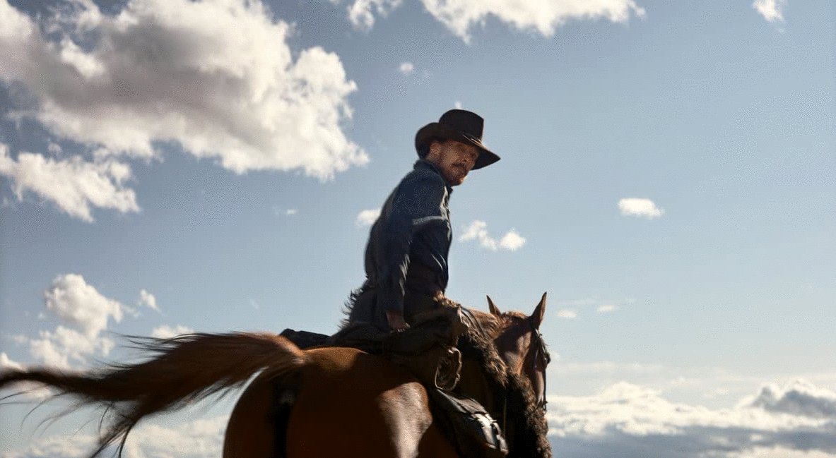 Photo du film Le pouvoir du chien