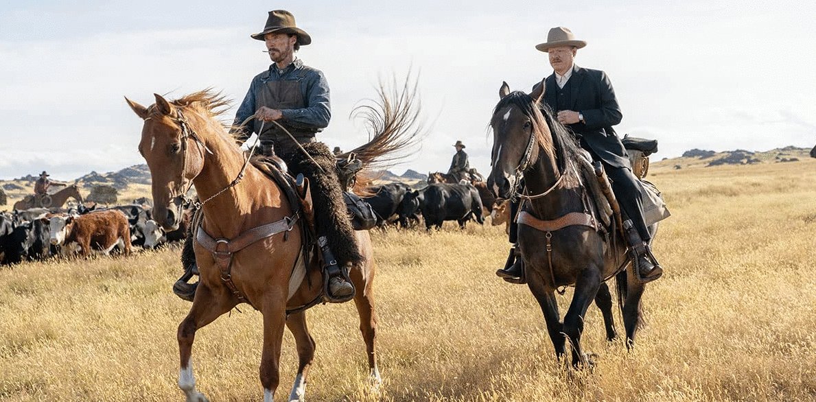 Photo du film Le pouvoir du chien