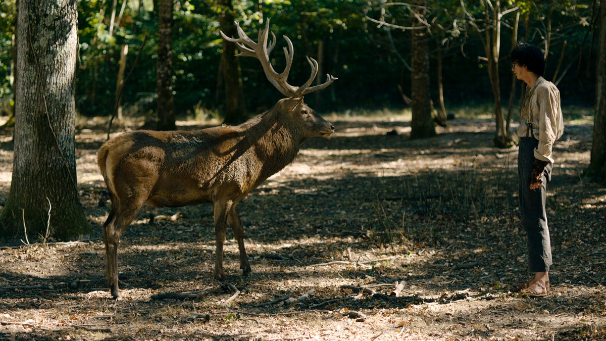Photo from the movie Valiant Hearts