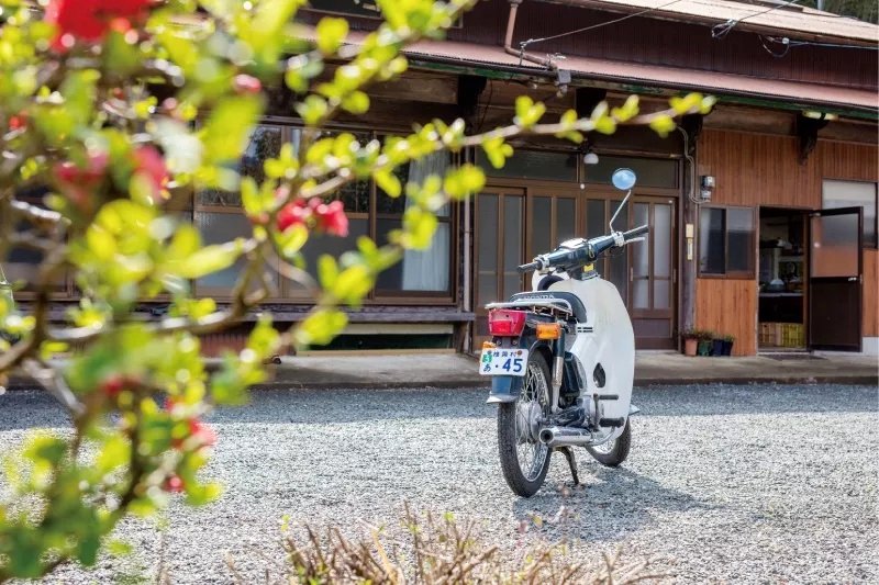 Photo du film Shabondama [2017]