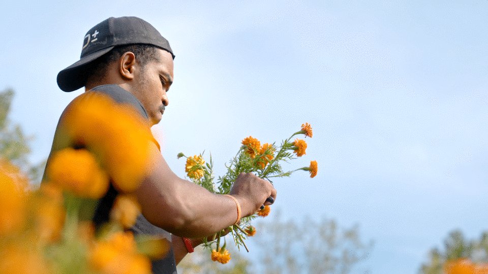 Photo from the movie In Our Nature [2026]