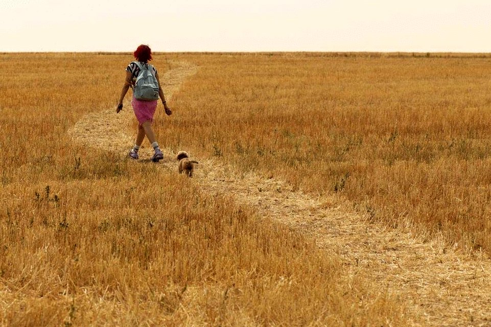 Photo du film Rainbow [2022]