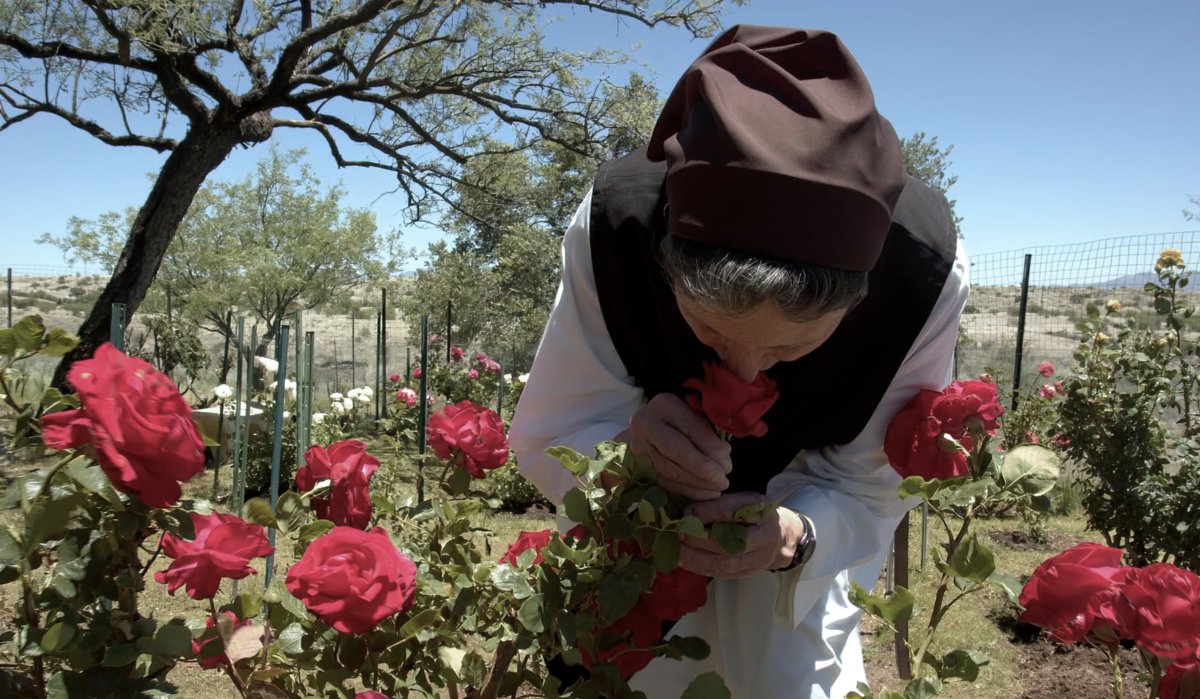 Photo from the movie Final Vows [2024]