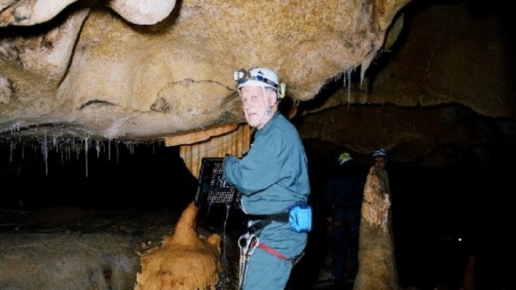 Photo from the movie Cave of Forgotten Dreams [2010]