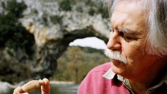 Photo from the movie Cave of Forgotten Dreams [2010]