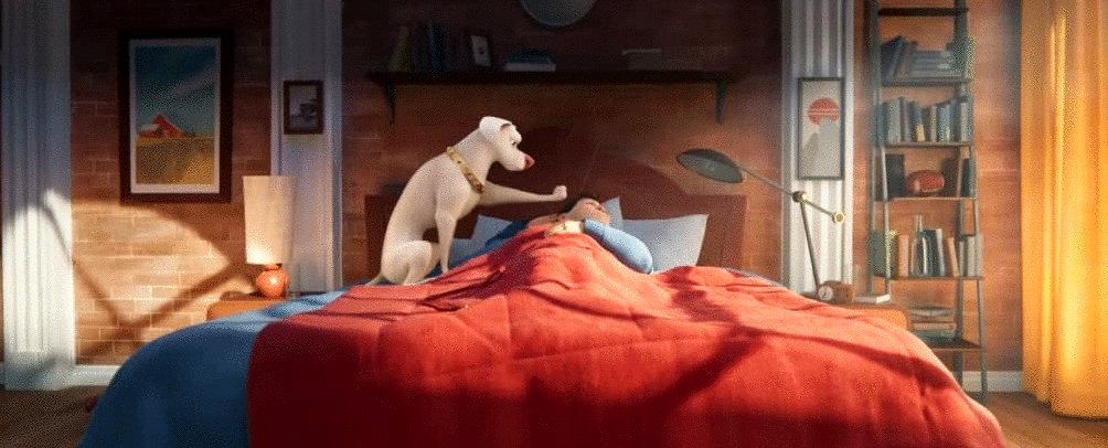 Photo du film DC League of Super-Pets