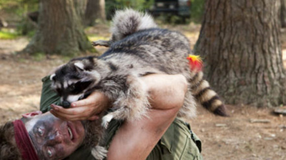 Photo from the movie Furry Vengeance