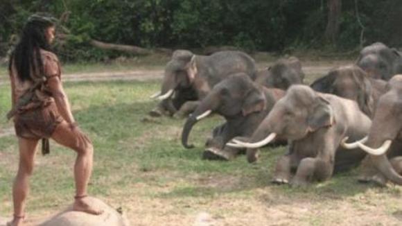 Photo du film Ong Bak 2