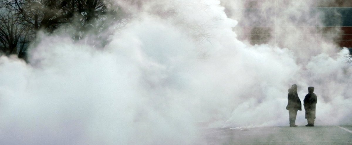 Photo from the movie The American Question [2024]