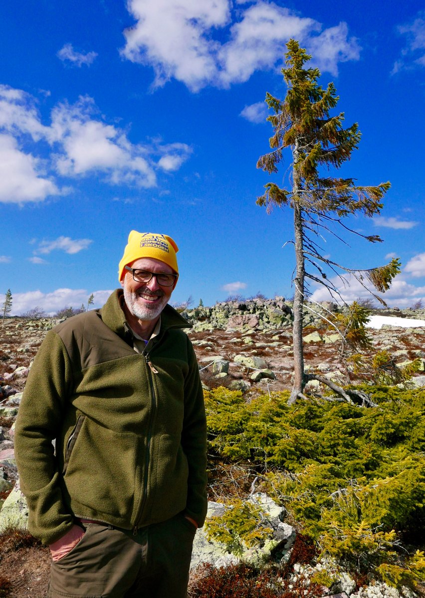 Photo from the movie The Hidden Life of Trees