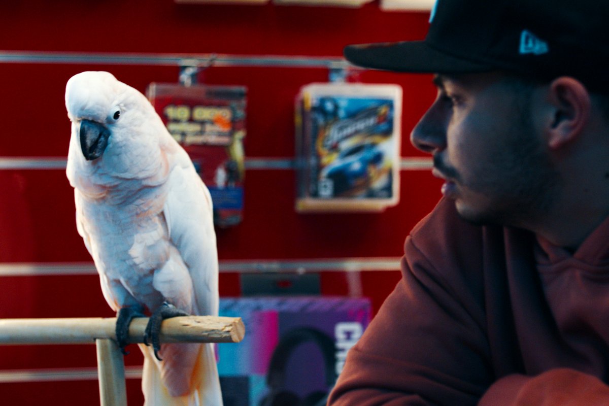 Photo from the movie Challenger [2024]