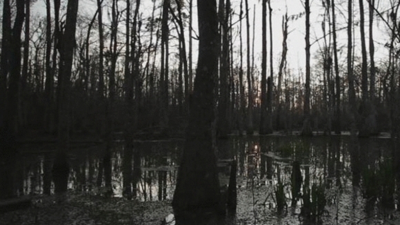 Photo du film The Big Uneasy