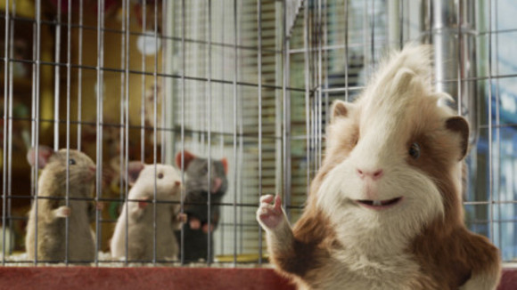 Photo du film G-Force