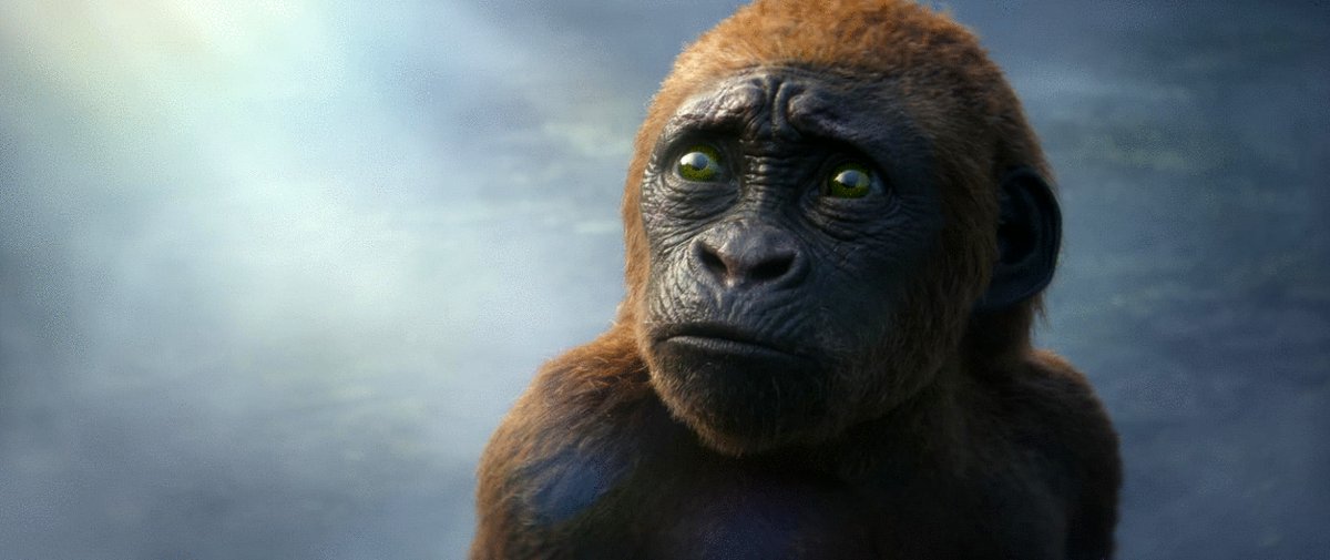 Photo du film Godzilla et Kong: Le nouvel empire