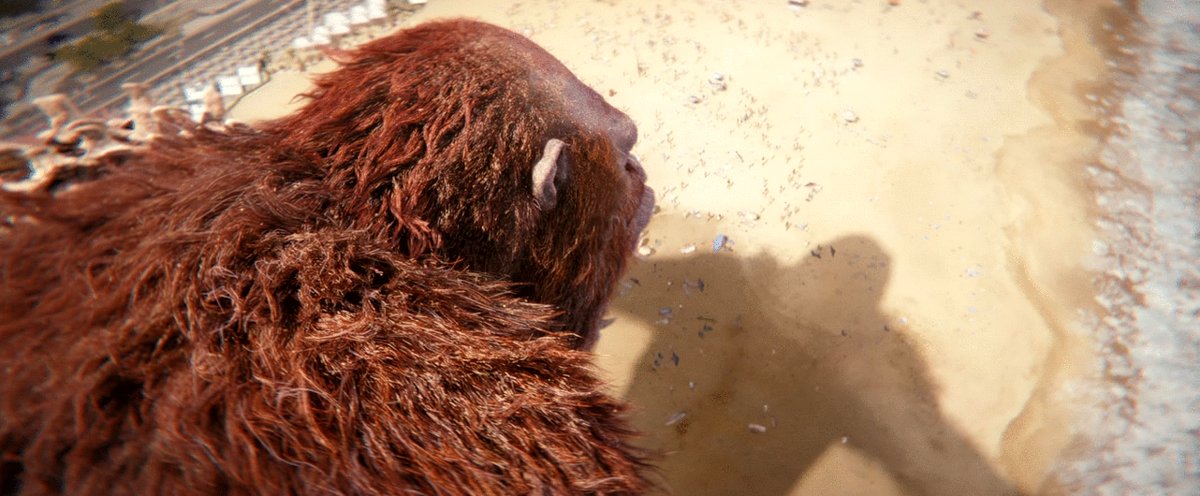 Photo du film Godzilla et Kong: Le nouvel empire