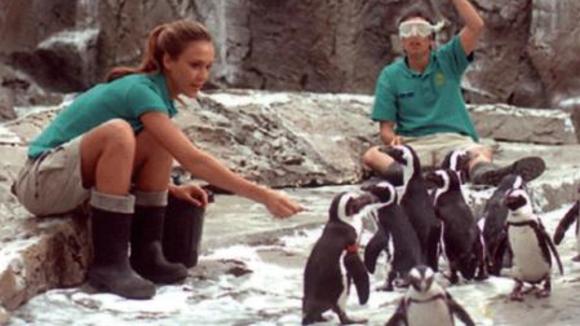 Photo from the movie Good Luck Chuck