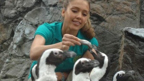 Photo from the movie Good Luck Chuck